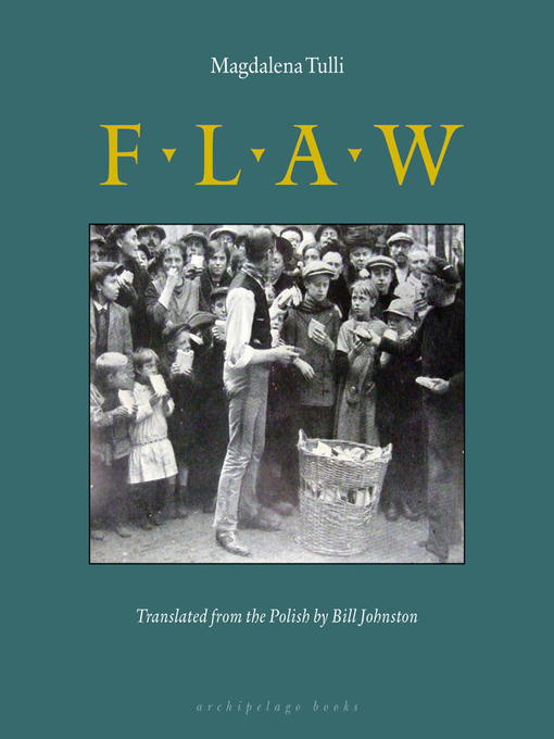 Title details for Flaw by Magdalena Tulli - Available